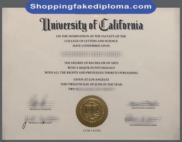 From Fraud to Forgery: Inside the Fake Diploma Industry